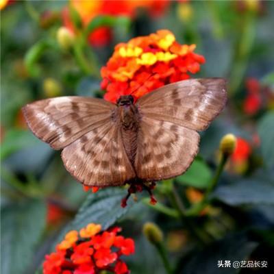 龙与地下城烽火之章最新版(暂未上线)v5.14.0 安卓版